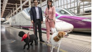Lee más sobre el artículo ¡Buenas noticias para los dueños de perros! Ahora se permiten perros en el metro