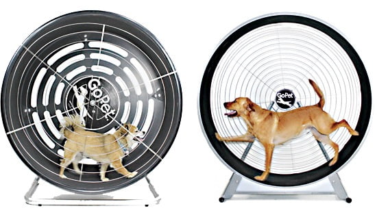 En este momento estás viendo Caminadora de perros: la solución para el ejercicio diario de tu mascota