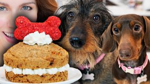 Lee más sobre el artículo Deliciosos pasteles caseros para consentir a tu perro