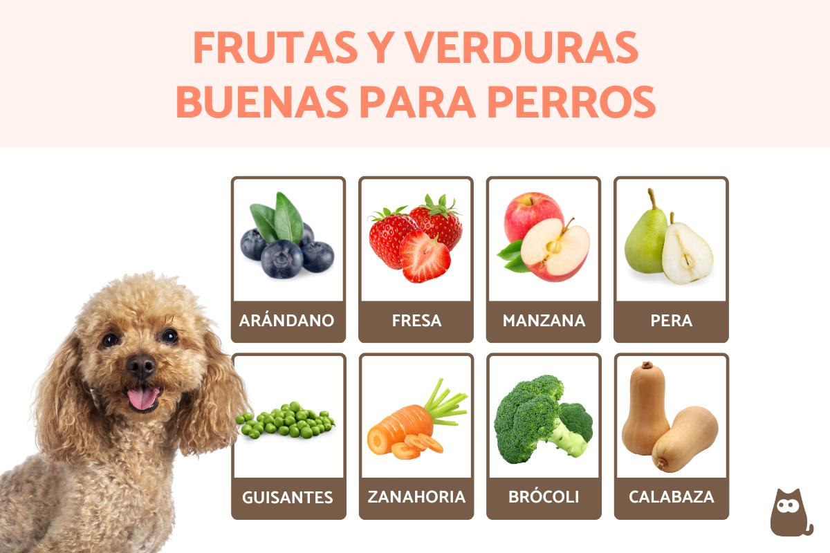 En este momento estás viendo Las mejores frutas y verduras para perros: recetas y consejos para un alimentación saludable