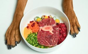 Lee más sobre el artículo Los peligros de alimentar a tu perro con carne cruda: enfermedades que debes conocer.
