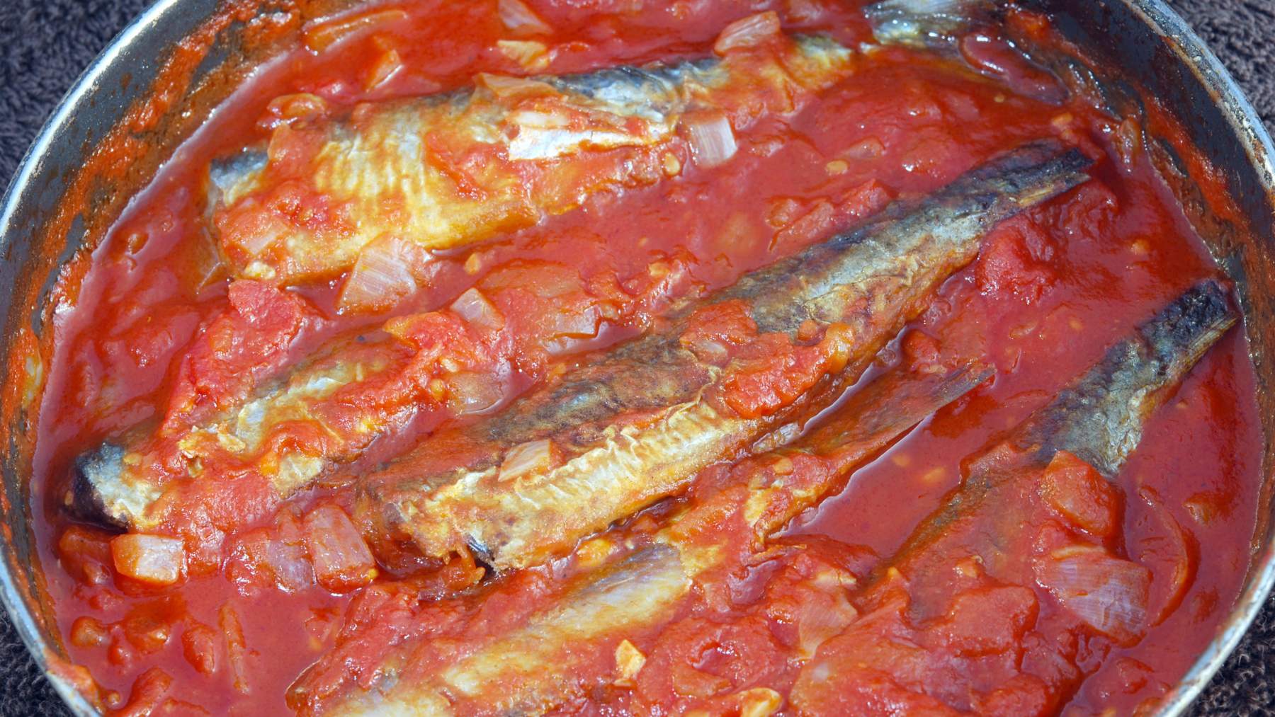 En este momento estás viendo Los perros pueden comer sardina en salsa de tomate: una receta deliciosa y saludable