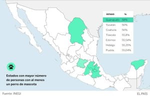 Lee más sobre el artículo Mapa de los lugares con mayor cantidad de perros callejeros en México