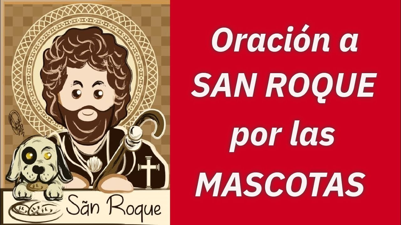 En este momento estás viendo Novenario a San Roque para pedir su protección y sanación a nuestros fieles amigos caninos.