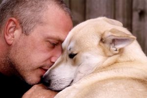 Lee más sobre el artículo Toda la verdad sobre cómo se siente un perro al cambiar de dueño: Una mirada profunda.